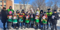 «Пристегни самое дорогое»: юные инспекторы рассказали о важности детских кресел водителям Биробиджана - РИА Биробиджан