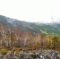 5130d0de-7170-450f-8ed2-6bddece41308_1.jpeg - GorodnaBire.Ru
