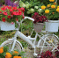 13 территориальных общественных объединений ЕАО получили поддержку в рамках губернаторского грантового конкурса - Правительство Еврейской автономной области