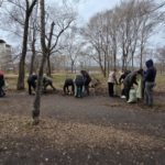 Собирают мусор и сгребают листву: биробиджанцы активно выходят на субботники
