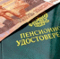 В России предложили отменить пенсии по старости - что говорят в Совфеде - ИА Eaomedia.Ru