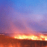 b2362f8c15869be17b171243281a815a_2.jpg - GorodnaBire.Ru