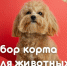 Нажмите для предварительного просмотра изображения - Molodezh79.Ru