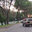 sim-800x600.jpg - GorodnaBire.Ru