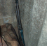 InShot_20250729_090426987-800x600_1.jpg - GorodnaBire.Ru