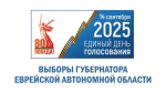 Определилась пятерка кандидатов на должность губернатора ЕАО