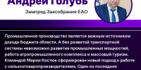 Андрей Голубь: успехи в экономике — результат четкой стратегии развития ЕАО - РИА Биробиджан