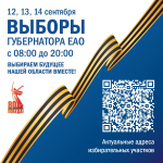 Выборы губернатора ЕАО уже начались