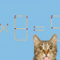 Ваше зрение как у орла или крота? Проверит этот зрительный ТЕСТ - ИА Eaomedia.Ru