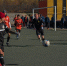 5429541439508971287_1.jpg - GorodnaBire.Ru