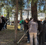 Субботник в сквере Победы города Биробиджан собрал более 500 жителей. - Единая Россия