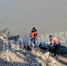 Собака застряла на острове посреди ледяной воды в Биробиджане - ИА Eaomedia.Ru