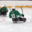 Секция следж-хоккея для людей с ограниченными возможностями здоровья создается в ЕАО - ИА Eaomedia.Ru