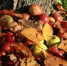 Синее чудо на грядке: этот кислый полив превращает розовые гортензии в сапфирные шедевры - ИА Eaomedia.Ru