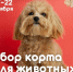 Нажмите для предварительного просмотра изображения - Molodezh79.Ru