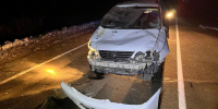 Лошадь сбил автомобиль в ЕАО - РИА Биробиджан