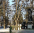 Депутаты городской Думы Биробиджана приняли участие в открытии памятника матерям победителей - Городская Дума