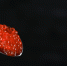 krasnaa-ikra-v-metalliceskoi-lozke_1.jpg - GorodnaBire.Ru
