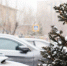 Toyota зарегистрировала в РФ 5 товарных знаков, среди них – Celica и Carina - ИА Eaomedia.Ru