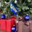 img - ЛДПР