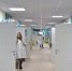Справедливость по часам: в России могут ввести минимальную оплату за час работы - ИА Eaomedia.Ru