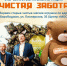 Из детской заботы — в тепло для защитников. Дарим старым игрушкам новую жизнь! - Molodezh79.Ru
