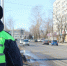 Массовые проверки водителей пройдут в ЕАО - Время Биробиджана