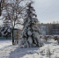Осадков не ожидается –прогноз погоды в ЕАО на 25 февраля - РИА Биробиджан