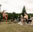 plener-proekt-26-08-2025_18_1.jpg - GorodnaBire.Ru