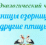 66 - ЦГБ г. Биробиджана