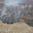 DJI_0029_1_1.jpg - GorodnaBire.Ru