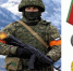 Своевременно  выведена из-под  удара военная техника: подвиги героев СВО из ЕАО - РИА Биробиджан