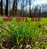 С Праздником Весны и Труда!