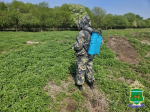 Тематическое фото Пресс-служба УМВД ЕАО