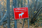 Студент в Таиланде открыл стрельбу в школе - есть погибшие