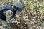 Артиллерийский боеприпас нашли в Облученском районе ЕАО